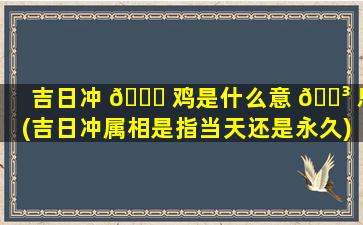 吉日冲 🍁 鸡是什么意 🐳 思(吉日冲属相是指当天还是永久)